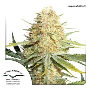 Photo of Lemon Zkittle