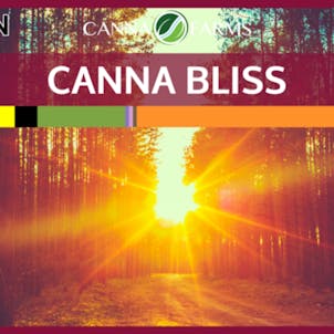 Photo of Canna Bliss