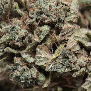 Photo of Super Silver Haze