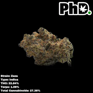 Photo of PhD Indoor Flower - Zaza
