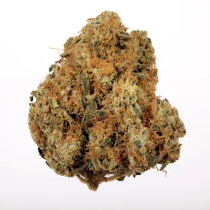 Photo of Orange Cookies Chem 7g