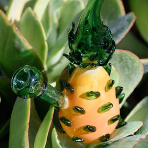 Photo of Pineapple Glass Rig