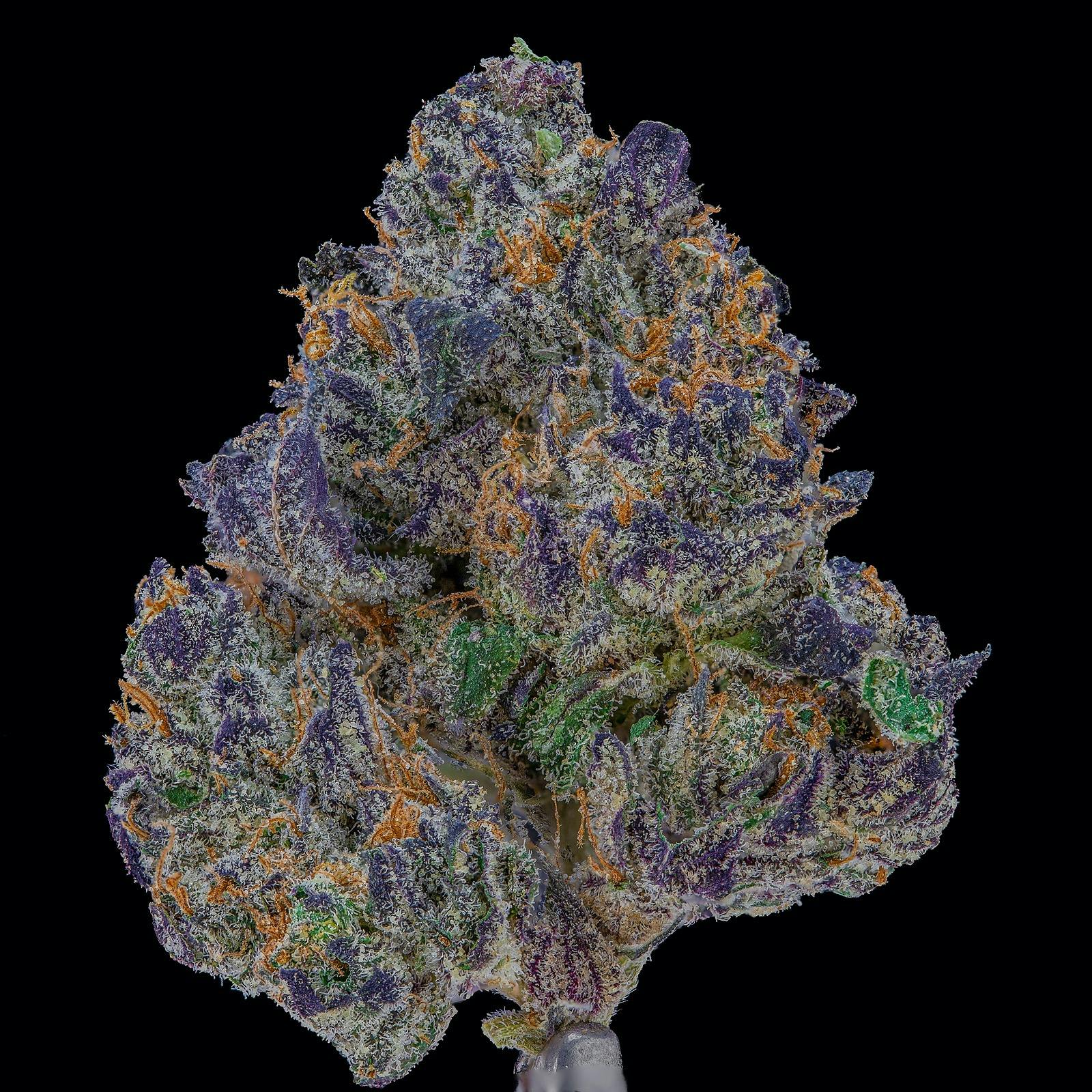 Kings Garden Gelato 33 by Kings Garden Leafly