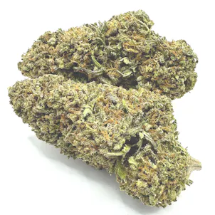 Photo of Master Kush CBD Flower