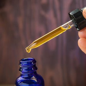 Photo of Blueberry Pie Tincture - 500mg Full Spectrum CBD Oil