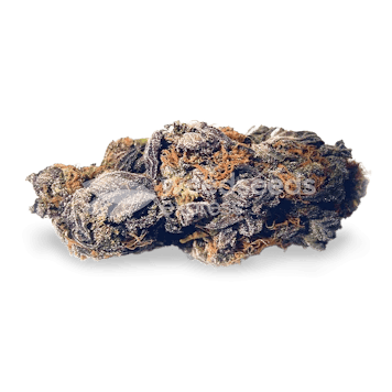 Photo of CBD Purple Kush Autoflower Seeds