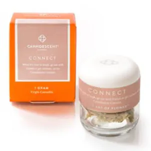 Photo of CONNECT 431 — Cereal Milk