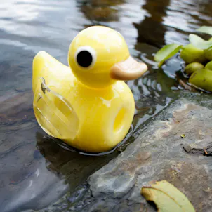 Photo of 3" Glass Duckling "Dank Duck" Chillum