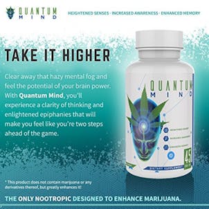 Photo of QUANTUM MIND — FREE BOTTLE