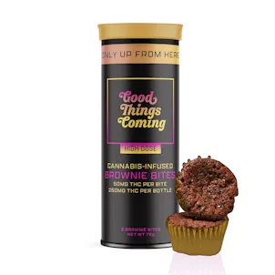 Photo of French Chocolate Brownies High Dose