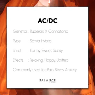 Photo of BALANCE - AC/DC 20:1 High CBD Cartridge