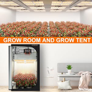 Photo of Spider Farmer® SF7000 650W Foldable Led Grow Light