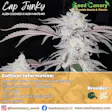 Product image for Cap Junky - (Breeder Cut) Rooted Clone