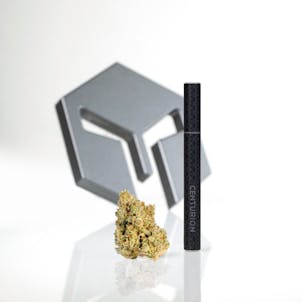 Photo of Pomona Disposable 1/2 GM