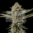 Product image for White Tahoe Cookies