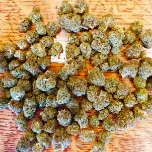 Photo of Kimber Kush CBD Flower