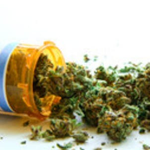 Photo of CANNABIS DISPENSARY MANAGEMENT CERTIFICATION (CCDM)