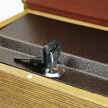 Photo of Hakuna Pin Up Discreet Locking Book Box