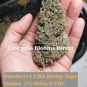 Photo of 5 Pack Eighth Ounce (17.5g) Sampler Pack