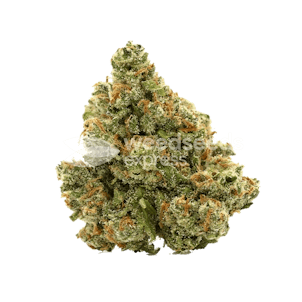 Photo of XJ-13 Feminized Seeds