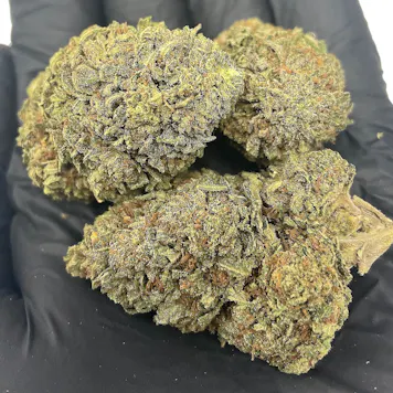 Photo of Bubba Kush Light Dep