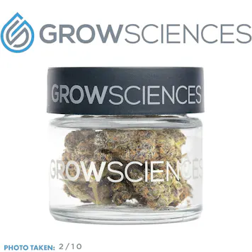 Photo of Tropicana Punch (3.7)