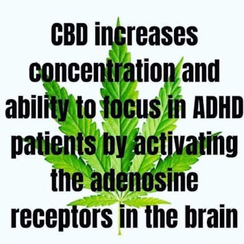 Photo of Everything Hemp for Your Health