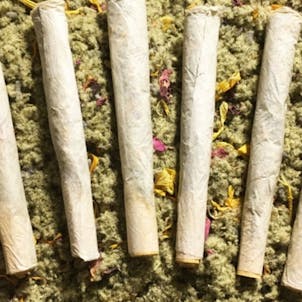 Photo of OG Bear Blend Rolliez