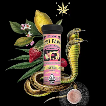 Photo of 10mg Lost Farm 'Super Lemon Haze x Strawberry Lemonade' Live Resin Gummies 100mg THC total