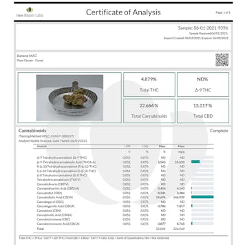 Photo of Banana Mac Indoor-Grown CBD Flower (13.2% CBD)