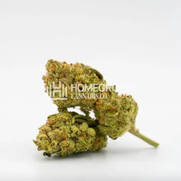 Photo of Bruce Banner Auto