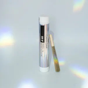 Photo of Zen AF 1G Pre-Roll