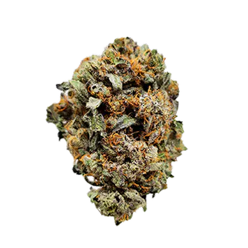 Photo of Mint Chocolate Chip Flower 1/8
