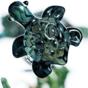 Photo of "East Australian Current" Bong