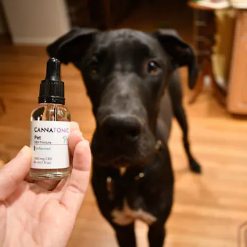 Photo of Pet CBD Oil Tincture - 1000mg Unflavored