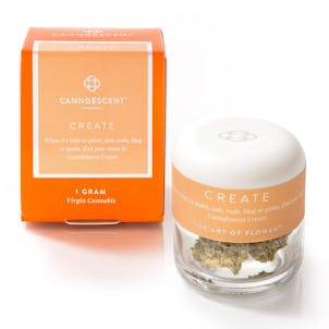 Photo of CREATE 345 — Apple Fritter