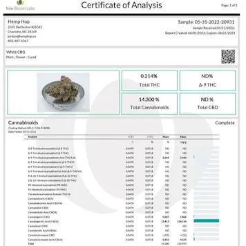 Photo of Indoor White CBG (Triploid)