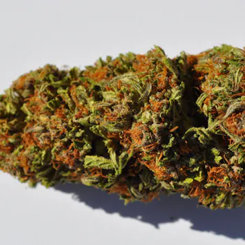 Photo of Purple Hindu Kush