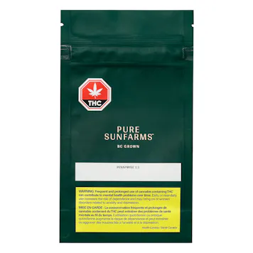 Photo of Pennywise 1:1