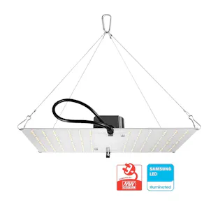 Photo of Beginner Complete Grow Tent Kit | HLG 100 Rspec LED | 2’ x 2’