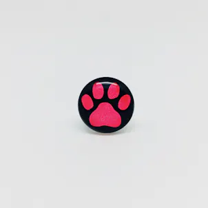 Photo of Pink Paw Charm