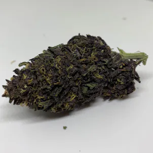 Photo of Forbidden Fruit