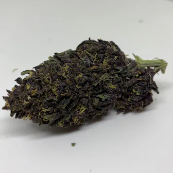 Photo of Forbidden Fruit