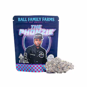 Photo of The Phonzie