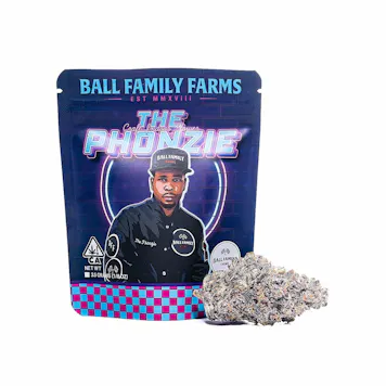 Photo of The Phonzie