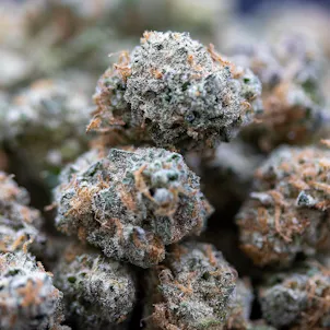 Photo of Mockingbird Premium Cannabis Smalls: Dragon Fruit Juice 7g bag