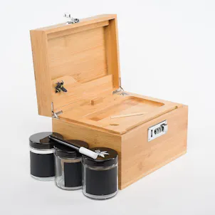 Photo of Stash Box - Large Bzz Box with Artist Designed Elephant