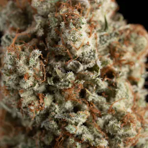 Photo of 3.5g Pina Grossada - Living Soil Cannabis - Upstate Elevator Operators