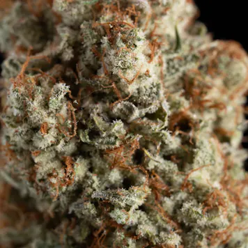 Photo of 3.5g Pina Grossada - Living Soil Cannabis - Upstate Elevator Operators