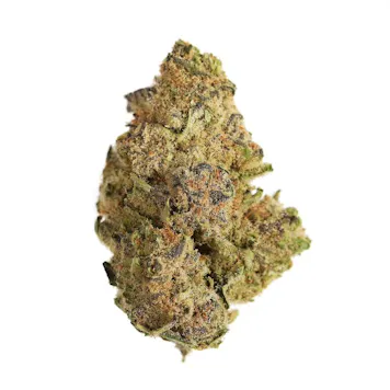Photo of Mimosa 1g